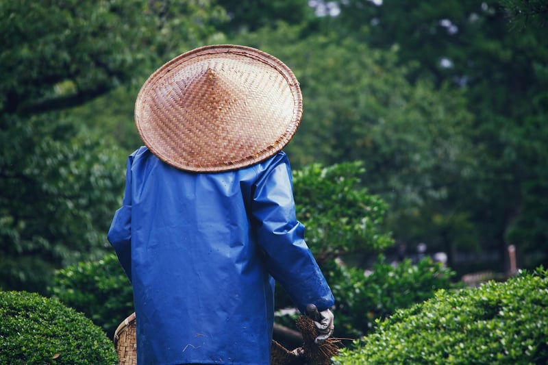 Travelers in a foreign market
